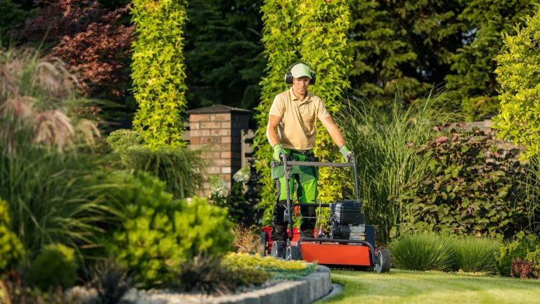 Lawn Mowing Services That Transform Untidy Gardens Into Beautiful Outdoor Spaces