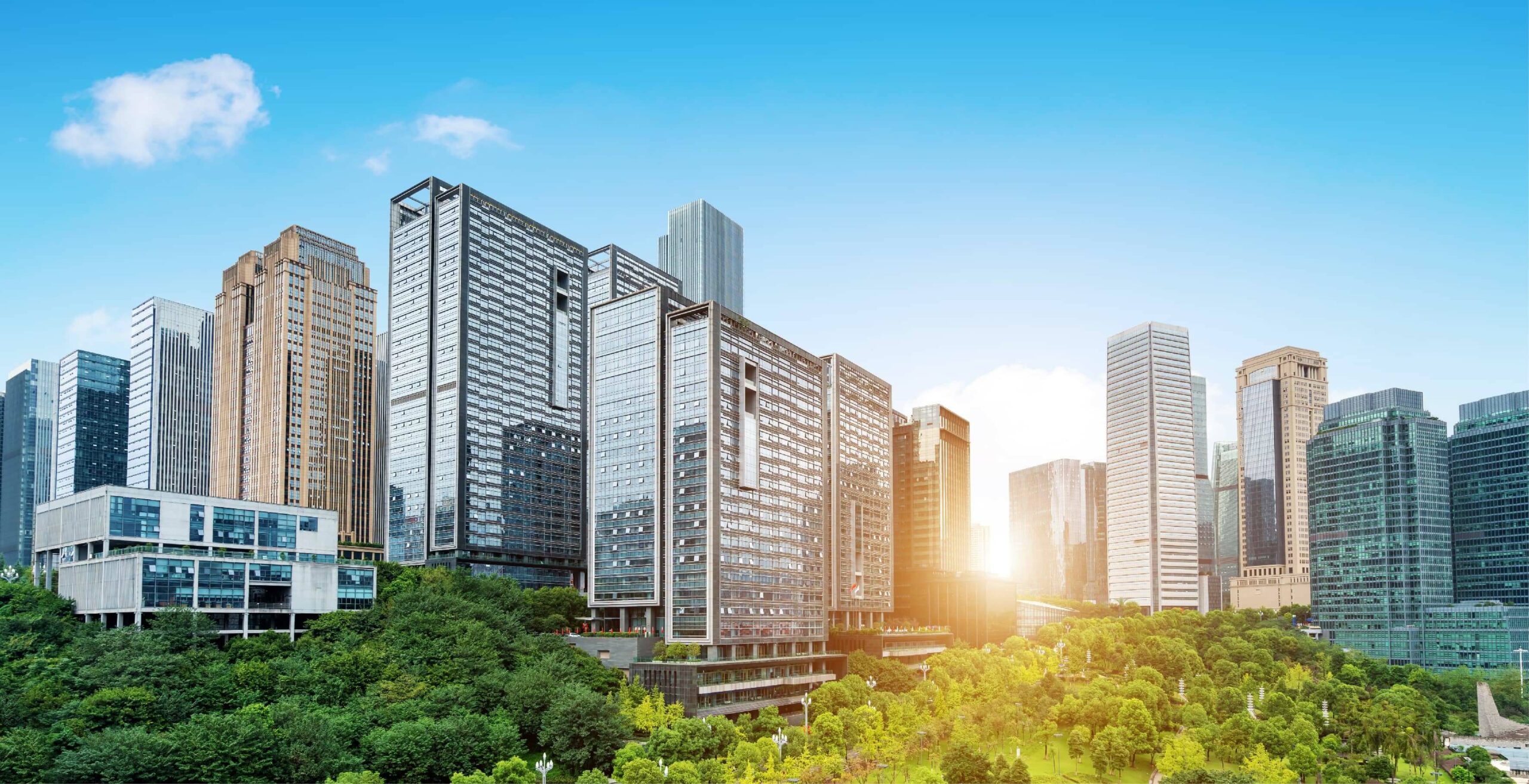 Property Investment 
